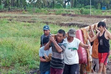 Sambaran petir akibatkan warga Mukomuko meninggal