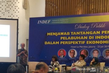 Faisal Basri takut Jokowi salah diagnosis soal investasi