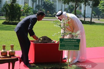Presiden Joko Widodo bersama Putra Mahkota Abu Dhabi menanam pohon damar di halaman Istana Bogor