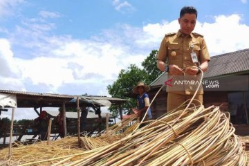 Pemerintah diminta susun regulati atasi anjloknya harga rotan