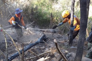 Tim Pemadam Gabungan sisir bara api di Gunung Panderman