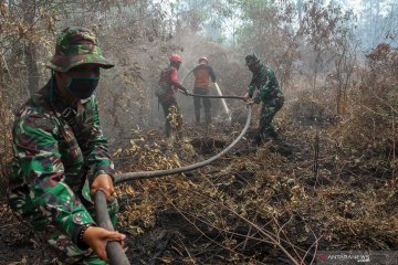 Pemadaman kebakaran lahan di Riau terkendala sumber air mengering