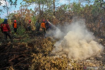 Upaya pemadaman karhutla di Riau