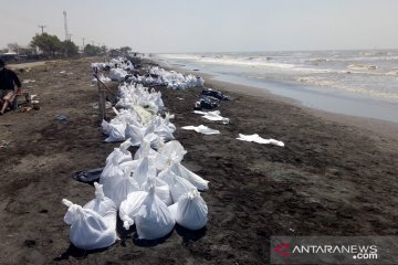 Minyak mentah yang bocor menyebar ke sejumlah muara sungai Karawang