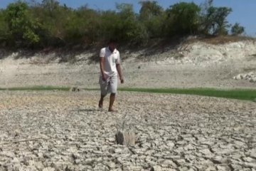 Volume air Waduk Pondok di Ngawi menyusut
