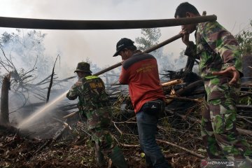 Satgas tingkatkan patroli cegah titik api di Taman Nasional Tesso Nilo