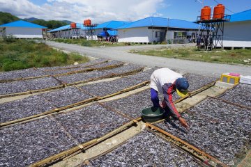 DPRD suarakan pentingnya badan rehab-rekon untuk pulihkan Sulteng