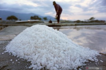 KPPU dinilai telah adil dalam putusan kartel garam