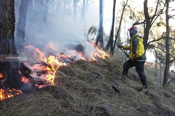 BPBD sebut semua pendaki selamat pada insiden kebakaran Gunung Arjuno