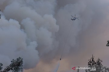 Satgas terbangkan empat helikopter padamkan Karhutla di Langgam Riau