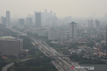Jakarta kemarin, udara tidak sehat hingga pendataan hewan kurban