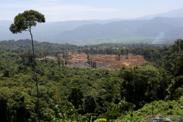 Pembukaan lahan baru di Aceh