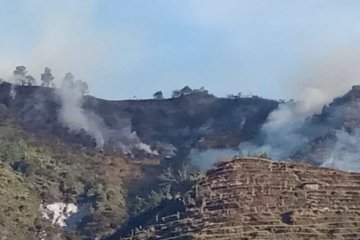 Hutan Gunung Pakuwojo Dieng terbakar