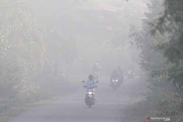 Luas kebakaran lahan di Aceh Barat capai 14 hektare
