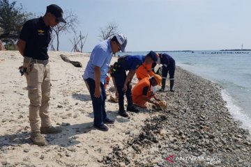 Pemprov DKI ambil sampel tumpahan minyak di Kepulauan Seribu