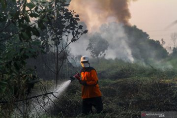 Jarak pandang di Pelalawan Riau 800 meter akibat asap Karhutla