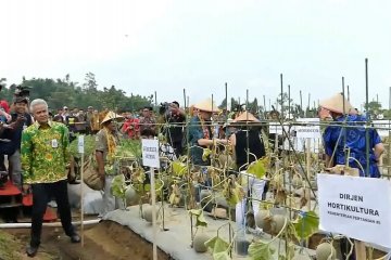 11 Delegasi hadiri Soropadan Agro Expo