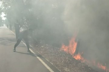Kebakaran lahan gambut di kota Palangka Raya meluas