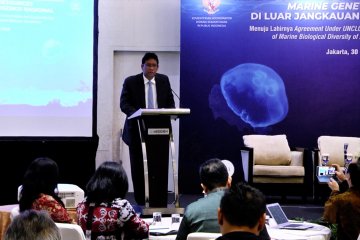 Perumusan posisi Indonesia jelang Intergovernmental Conference