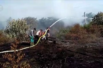 BPBA ajak seluruh elemen masyarakat jaga hutan