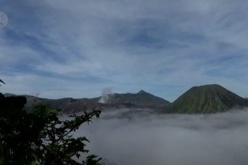 Puluhan hektar lahan pertanian terdampak belerang Bromo