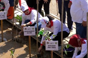 Kesadaran menanam mangrove mulai merebak di masyarakat