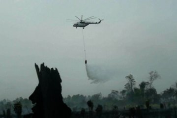 Satgas Karhutla Riau optimalkan penggunaan lima helikopter bantuan BNPB