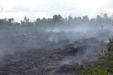 Sudah 215,61 hektare hutan & lahan terbakar di Kalteng