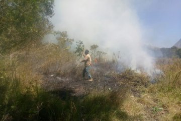 Kebakaran padang rumput Gunung Rinjani Lombok kembali terjadi