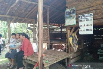 Jelang panen, petani jengkol Lampung Timur menginap di kebun