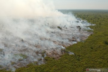 Kebakaran lahan di Muarojambi semakin meluas
