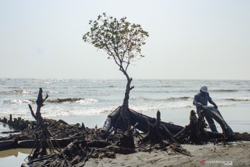 Pertamina minimalisir tumpahan minyak di pantai Karawang
