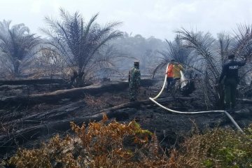 Lima titik panas terkonsentrasi di Aceh Barat