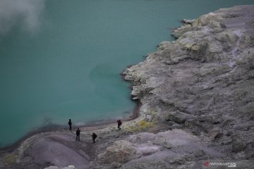 Pemulihan ekosistem Kawah Ijen