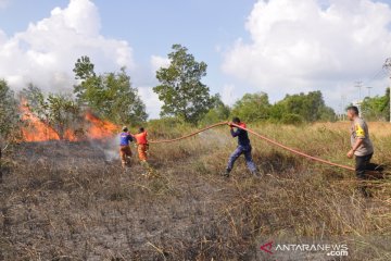 Dua hektare lahan di area perkantoran Pemkab Belitung timur terbakar