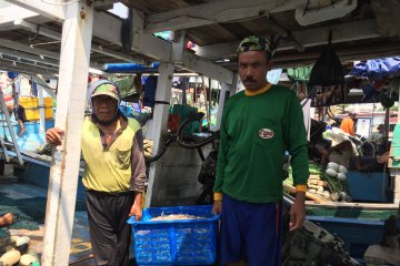 Nelayan sebut tumpahan minyak tak pengaruhi ikan di Kepulauan Seribu