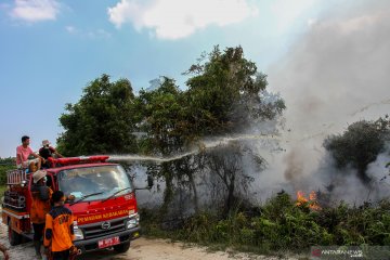 Kebakaran lahan gambut di Pekanbaru