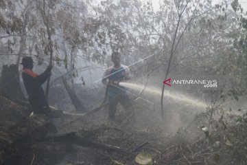 Kebakaran lahan di Aceh Barat semakin meluas akibat musim kemarau
