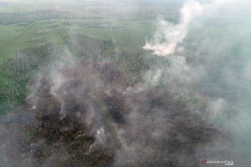 Kebakaran lahan meluas di Aceh Barat