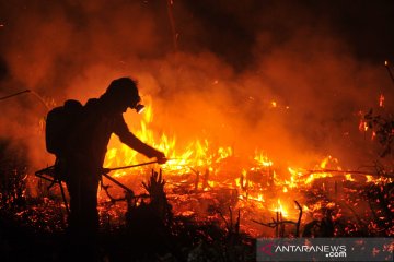 Kebakaran lahan perbatasan Sumsel - Jambi