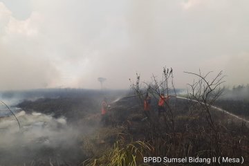 Jalan lintas timur Ogan Ilir tertutup asap akibat kebakaran lahan