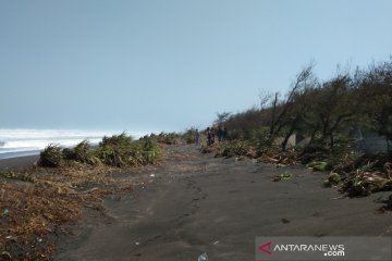 Abrasi pantai selatan tinggi