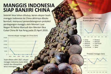 Manggis Indonesia siap banjiri China