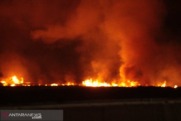 Kebakaran lahan meluas,  Petugas Tol Palindra berjaga hingga malam
