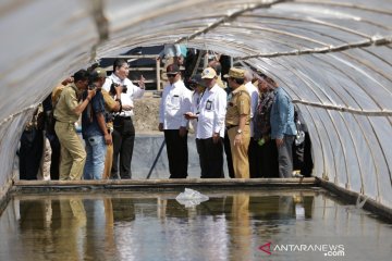 Petambak garam didorong bentuk koperasi siasati masalah lahan