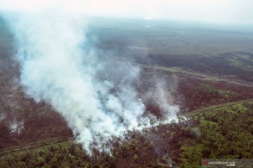 Walhi Sumsel: Banyak hotspot di lokasi konsesi korporasi