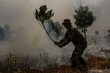 Siaga darurat karhutla di Pekanbaru