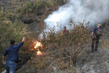 BPBD: Hutan di Garut rawan kebakaran saat kemarau