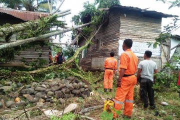 Tujuh unit rumah warga terdampak badai di Padang