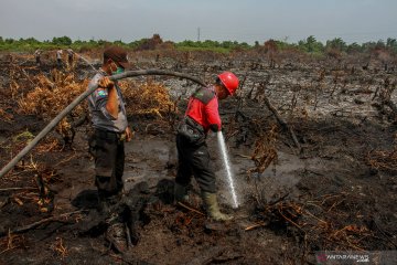 Polres Rohil kerahkan Brimob atasi Karhutla di pesisir Riau